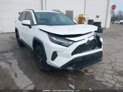 2T3R1RFV0RC397070 2024 TOYOTA RAV 4