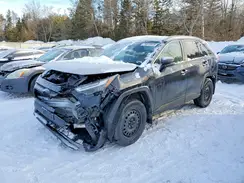 2T3R1RFV0RC414594 2024 TOYOTA RAV 4