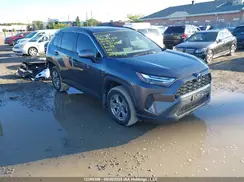 2T3R1RFV0RC439351 2024 TOYOTA RAV 4