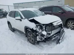 2T3R1RFV0RC443156 2024 TOYOTA RAV 4