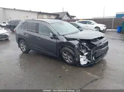 2T3R1RFV0RC443884 2024 TOYOTA RAV 4