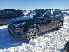 2T3R1RFV0RC443917 2024 TOYOTA RAV 4