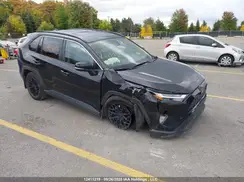 2T3R1RFV0RC483995 2024 TOYOTA RAV 4