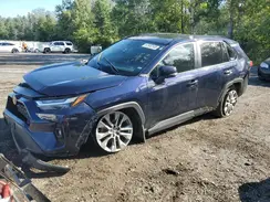 2T3R1RFV0RW439459 2024 TOYOTA RAV 4