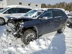 2T3R1RFV0SC501160 2025 TOYOTA RAV 4