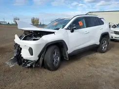 2T3R1RFV0SC511543 2025 TOYOTA RAV 4