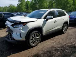 2T3R1RFV1KW025922 2019 TOYOTA RAV 4