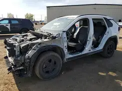 2T3R1RFV1LW097916 2020 TOYOTA RAV 4