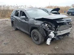 2T3R1RFV1LW113273 2020 TOYOTA RAV 4