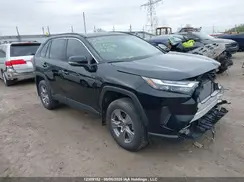 2T3R1RFV1RC406794 2024 TOYOTA RAV 4