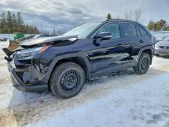 2T3R1RFV1RC462590 2024 TOYOTA RAV 4