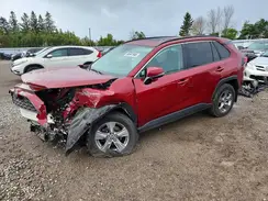 2T3R1RFV1RW436487 2024 TOYOTA RAV 4