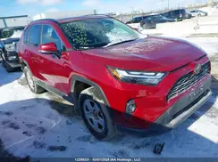 2T3R1RFV1RW444122 2024 TOYOTA RAV 4