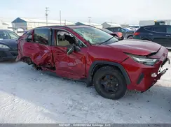 2T3R1RFV1RW446842 2024 TOYOTA RAV 4