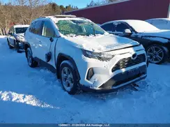 2T3R1RFV1SW608782 2025 TOYOTA RAV 4