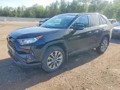 2T3R1RFV2KW026335 2019 TOYOTA RAV 4