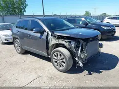 2T3R1RFV2KW036623 2019 TOYOTA RAV 4