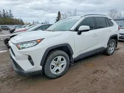 2T3R1RFV2MC153493 2021 TOYOTA RAV 4
