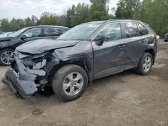 2T3R1RFV2MC195081 2021 TOYOTA RAV 4