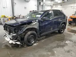 2T3R1RFV2PW353664 2023 TOYOTA RAV 4