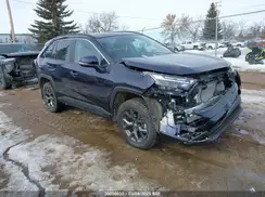 2T3R1RFV2PW356452 2023 TOYOTA RAV 4