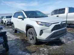 2T3R1RFV2PW381030 2023 TOYOTA RAV 4