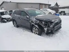 2T3R1RFV2RC488230 2024 TOYOTA RAV 4