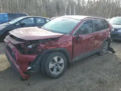 2T3R1RFV2RW435817 2024 TOYOTA RAV 4
