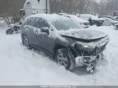 2T3R1RFV2SC500477 2025 TOYOTA RAV 4