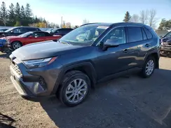 2T3R1RFV2SC500771 2025 TOYOTA RAV 4
