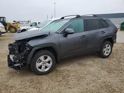 2T3R1RFV3KC036308 2019 TOYOTA RAV 4