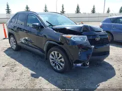 2T3R1RFV3LC061419 2020 TOYOTA RAV 4