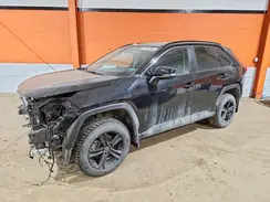 2T3R1RFV3LC102681 2020 TOYOTA RAV 4