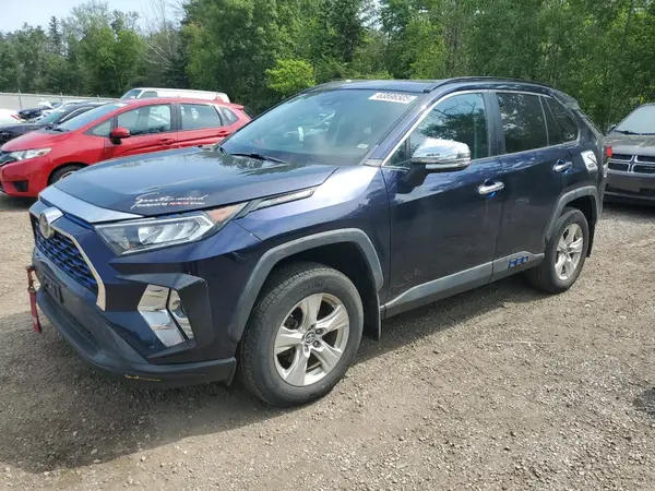 2T3R1RFV3LW086707 2020 TOYOTA RAV 4 - Image 1