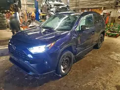 2T3R1RFV3PW369520 2023 TOYOTA RAV 4