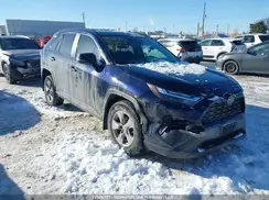 2T3R1RFV3PW384583 2023 TOYOTA RAV 4