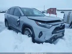2T3R1RFV3RC407431 2024 TOYOTA RAV 4