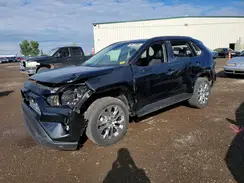 2T3R1RFV3RC442373 2024 TOYOTA RAV 4