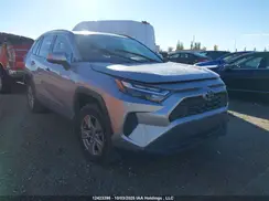 2T3R1RFV3RC444821 2024 TOYOTA RAV 4