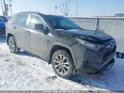 2T3R1RFV4KC023552 2019 TOYOTA RAV 4