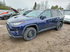2T3R1RFV4KC027231 2019 TOYOTA RAV 4