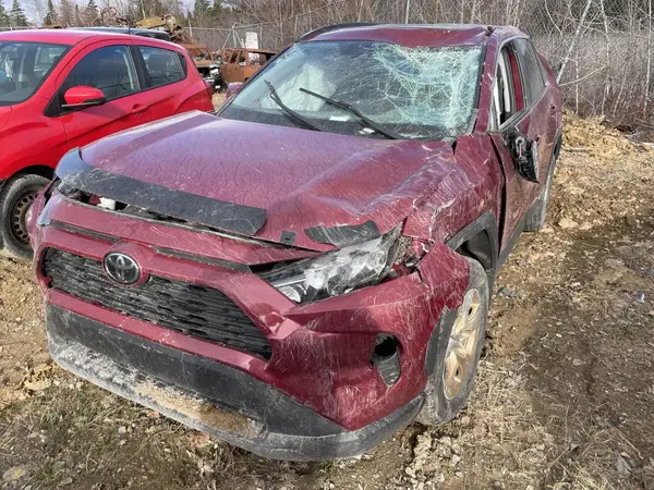 2T3R1RFV4LC064135 2020 TOYOTA RAV 4 - Image 1