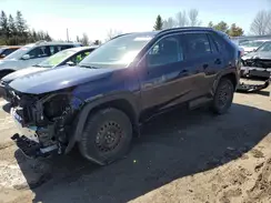 2T3R1RFV4PW382583 2023 TOYOTA RAV 4