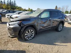2T3R1RFV4RC419474 2024 TOYOTA RAV 4