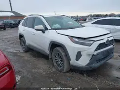 2T3R1RFV4RC443676 2024 TOYOTA RAV 4