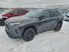 2T3R1RFV4RC465368 2024 TOYOTA RAV 4