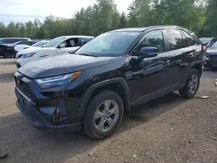 2T3R1RFV4RC466133 2024 TOYOTA RAV 4