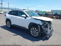 2T3R1RFV5KC039856 2019 TOYOTA RAV 4