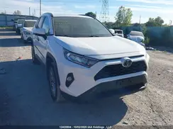 2T3R1RFV5KC040165 2019 TOYOTA RAV 4