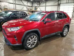 2T3R1RFV5KW016981 2019 TOYOTA RAV 4